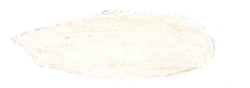 Syncytial blastoderm